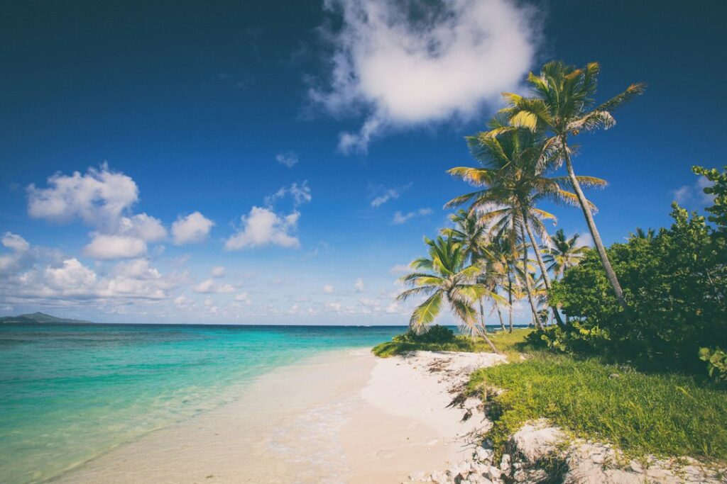 Palm trees and clear turquoise water on a Caribbean beach